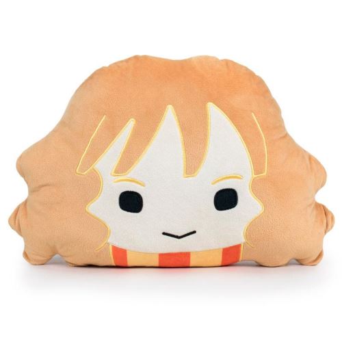 Hermione Harry Potter Coussin