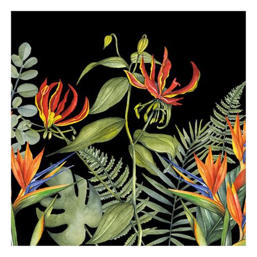 20 serviettes tropicale noir 33x33cm