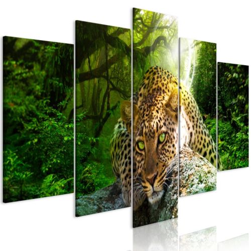 Tableau - Leopard Lying (5 Parts) Wide Green .Taille : 100x50
