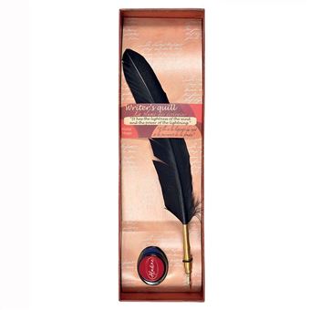 Plume d'écrivain et encre - Noir - Aladine