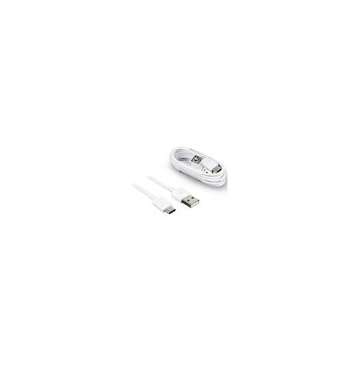 Câble blanc Samsung Data USB Type-C longueur 120 cm EP-DG950CBE - Samsung