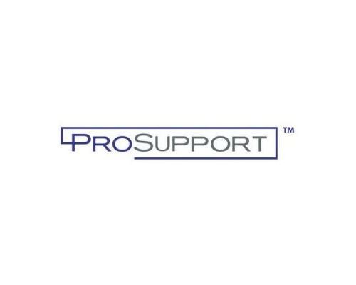 Contrat de maintenance Professionnel Netgear PRR0334-10000S XPressHW