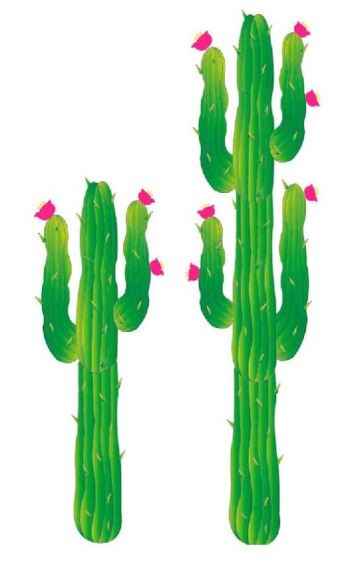 2 cactus cartonnés imprimés R/V 180 et 122 cm