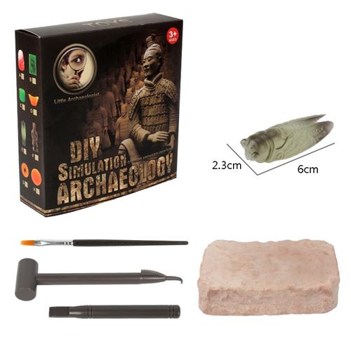 Excavation kit jouets fossile scientifique educatifs cadeau anniversaire pour enfant garçon fille - Cigale de la Chine ancienne