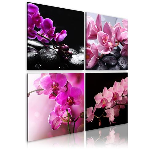 Tableau - Orchidées plus belles que jamais - Décoration, image,