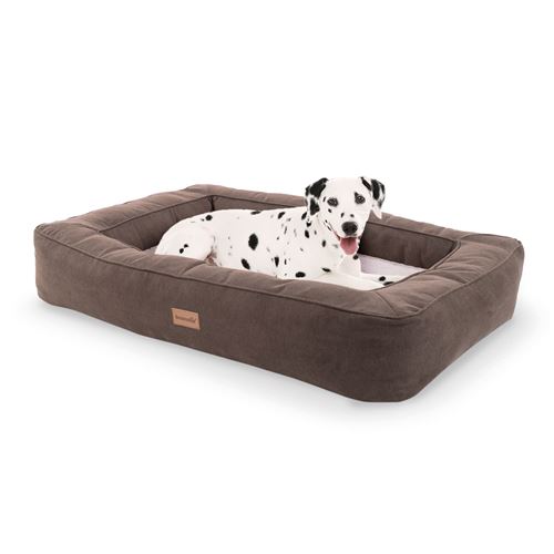 Meilleurs prix pour Panier pour chien - Brunolie Bruno - Coussin pour chien - Taille L (100 x 17 x 70 cm) - Mousse - Beige