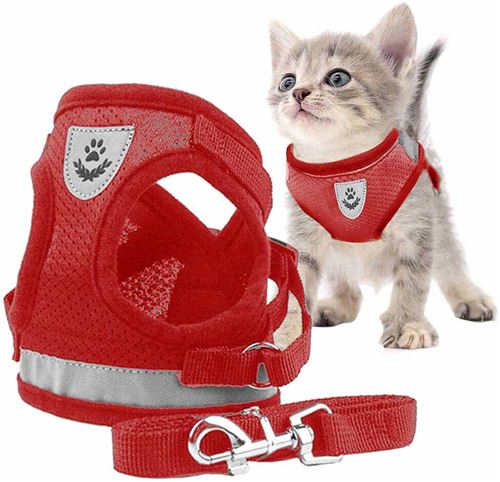 Gilet de sécurité réfléchissant pour chiens et chats - Taille XS - Rouge