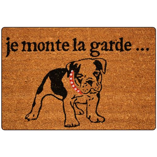 paillasson rectangle 40 x 60 cm coco imprime toutou