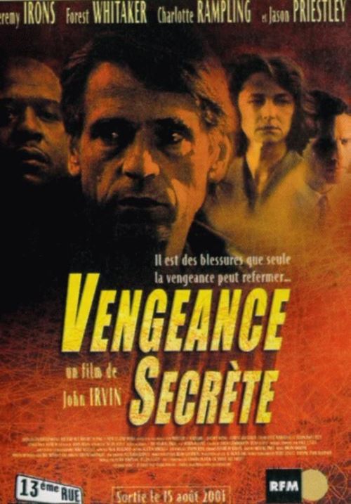 Vengeance Secrète AFFICHE CINEMA ORIGINALE