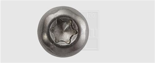 UNI-paNHEADSCHR.vG a2 5,0 x 20, tX 25 (20)