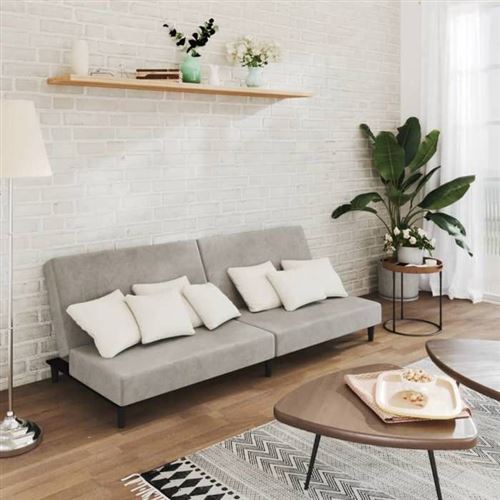 Non Communiqué Gris Vidaxl Canapé-Lit À 2 Places Clair Velours