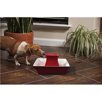 Petsafe Fontaine Drinkwell Pagoda En Céramique De 2l Filtre à Charbon Anti Odeur Mauvais Goût Rouge