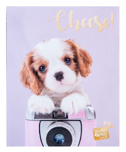 Album Photo Soft 48 Pochettes 13X20Cm Studio Pets Dog Cava