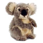 Peluche Koala Kolette  Peluches et doudous en ligne sur