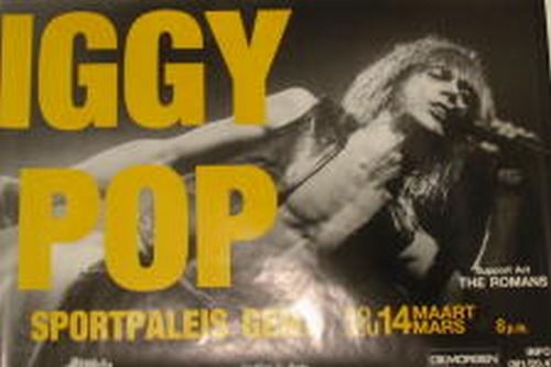 Pop Iggy - 60x90 cm - AFFICHE / POSTER