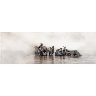 Tableau Sur Toile Falaise 65x97 Cm CEANOTHE Décoration Murale Art Decoratif Muraux Peinture Imprimee En Hd Salon Chambre Bureau Fabrique En France