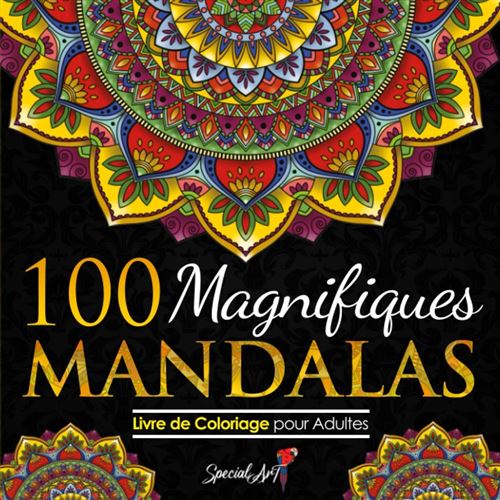 Livre de Coloriage pour Adultes - 100 Magnifiques Mandalas Volume 2 - 213 pages 21,5 x 21,5 cm