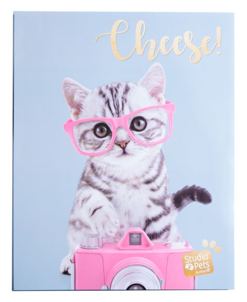 Album Photo Soft 48 Pochettes 13X20Cm Studio Pets Cat Tabby