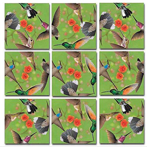 B.Dazzle Scramble Squares Hummingbirds 9 Piece Challenging Puzzle - Ultimate Brain Teaser and Mind Game for Young and Senior Alike - Engaging and Creative With Beautiful Artwork
