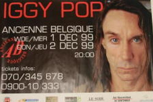Pop Iggy - 60x90 cm - AFFICHE / POSTER