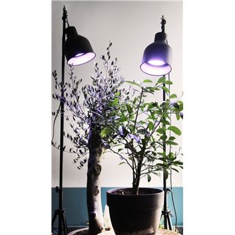 Parus by Venso Lampe à plantes SUNLiTE XL 25W blanc, lampe de