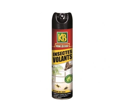 Kb Insectes Volants Aerosol - 400 Ml