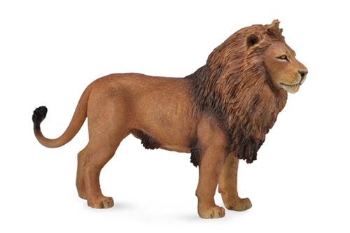Collecta Wildlife: African Lion 14 x 9 cm
