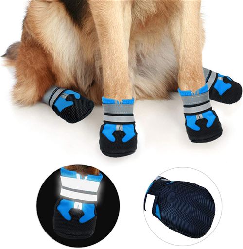 Chausson chien on sale antidérapant