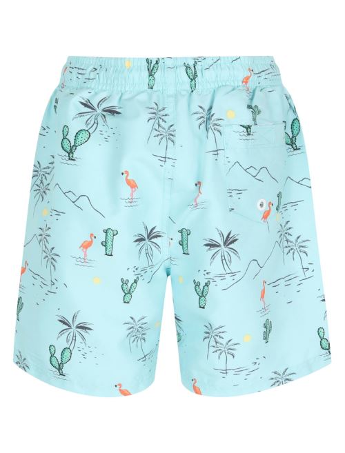 Short de bain à imprimé flamingo pour garçon - Aqua - 5-6 ans