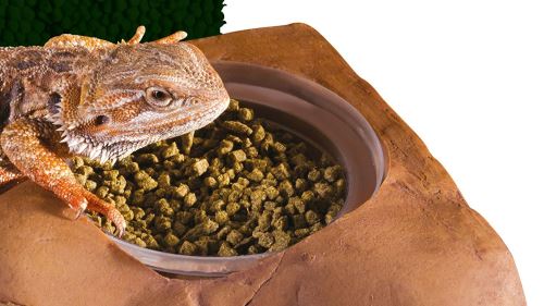 Comparer les prix de Exoterra Cachette pour Reptiles Support Cup Diet