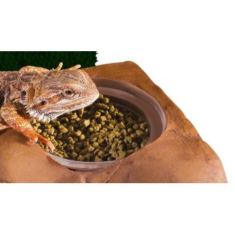 Exoterra Cachette pour Reptiles Support Cup Diet - 1