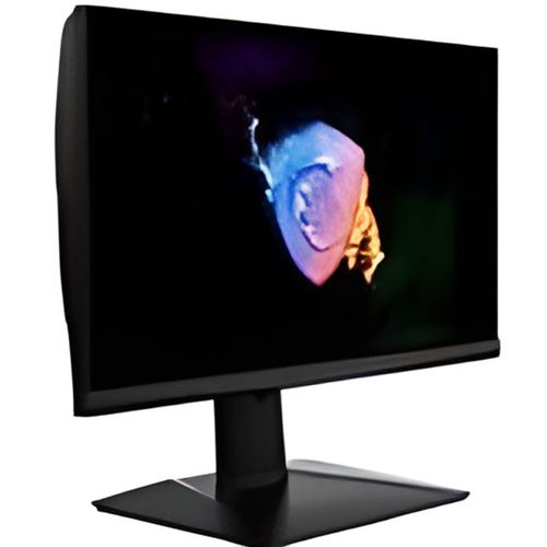 MSI Oculux NXG253R - Écran LED - 24.5" - 1920 x 1080 Full HD (1080p) @ 360 Hz - IPS - 400 cd/m² - 1000:1 - 1 ms - 2xHDMI, DisplayPort - noir
