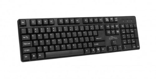 Media-Tech MT122KUS clavier QWERTY Noir PS/2