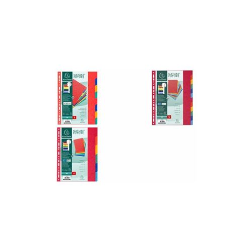 Exacompta intercalaires en carton, a4, 10 touches