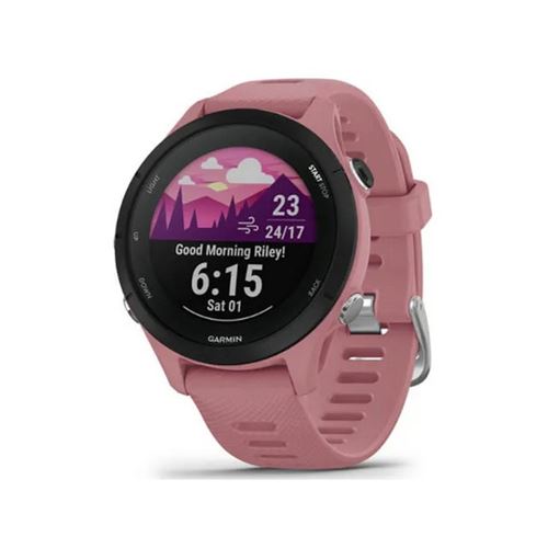 Garmin 253 store