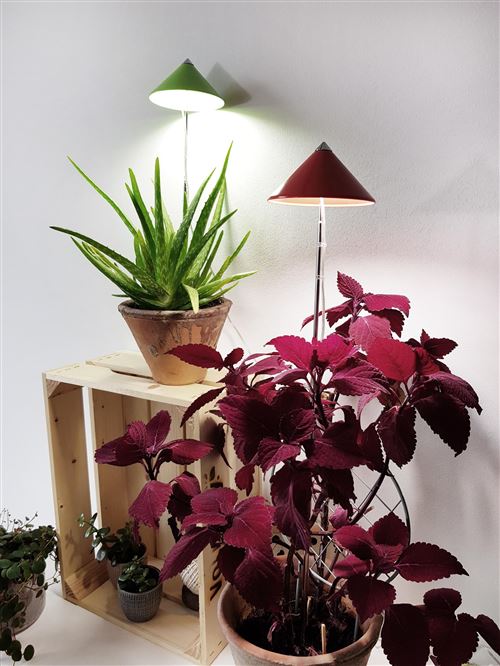 Parus by Venso Lampe à plantes SUNLiTE XL 25W blanc, lampe de croissance  LED avec tige télescopique, lampe de croissance pour plante - Matériel pour  serre et semis - Achat & prix