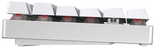 Non Communiqué Blanc Cherry Mx 8.2 Tkl - Clavier - Backlit - Sans Fil - 2.4 Ghz, Bluetooth 5.2 - Qwertz - Allemand - Commutateur : Cherry Mx Red