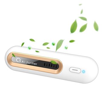 Acheter Purificateur d'air générateur d'ozone ioniseur générateur  Purification maison toilette désodorisant désodorisant pour animaux de  compagnie