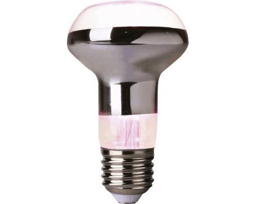 LightMe Ampoule LED pour plantes LM85321 104 mm 230 V E27 4 W réflecteur