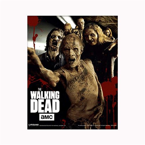 Pyramid International The Walking Dead Marcheurs Poster Lenticulaire 3d 25,4 X 20,3 Cm, Coloré, 10 X 8 X 1.3 Cm