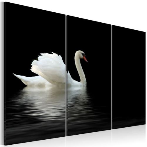 Tableau - Cygne seul .Taille : 60x40