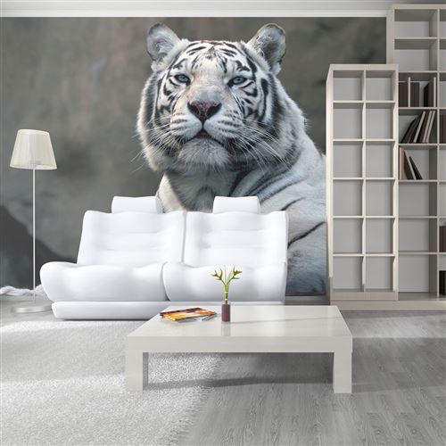 papier peint - tigre du bengale au zoo - artgeist - 450x270