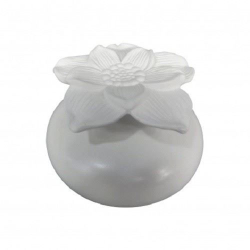 Diffuseur par Capillarité Narcisse