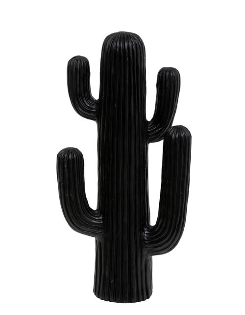 Lot de 2 Cactus décoratifs, décorations d'extérieur coloris noir - Longueur 28 x Profondeur 14,5 x Hauteur 57 cm - PEGANE -