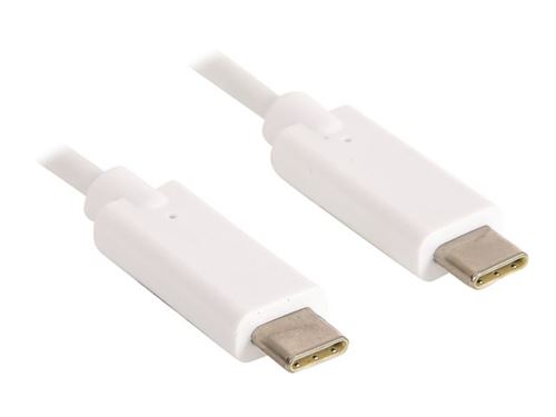 Sandberg - USB-kabel - 24 pin USB-C (M) naar 24 pin USB-C (M) - USB 3.1 - 2 m