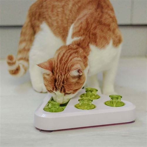 Meilleurs prix pour Ferplast Jouet d'activité pour chat/chien Trea