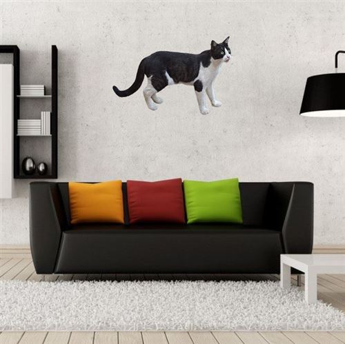 Fabulous Poster Chat noir et blanc europeen chat de ville 91cm x