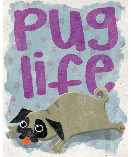 PUG LIFE - Life - AFFICHE