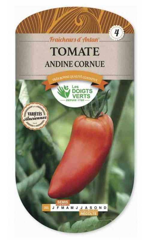 Semence Tomate Andine Cornue