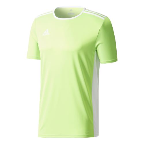 Maillot junior adidas Entrada 18 Vert 13/14 ans